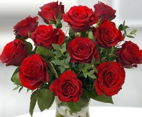 True Love   12 long stemmed roses