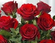 I love you 6 roses