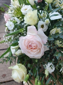 Large Coffin top with Roses Pink & White