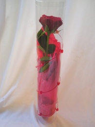 Gift wrapped red rose